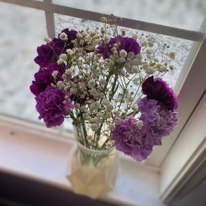 Meet your Posher, Morgan